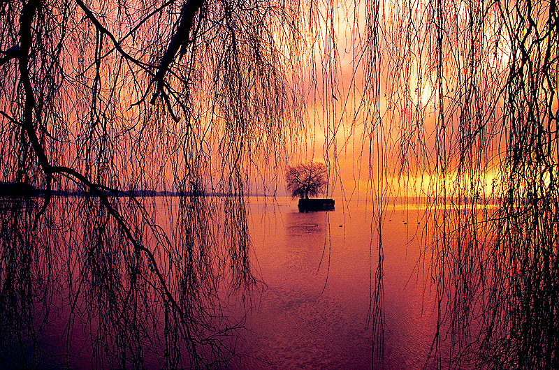 zur &Uuml;bersicht Stille 5