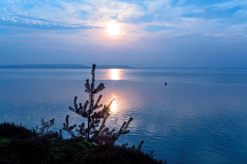 zur &Uuml;bersicht Stille 5