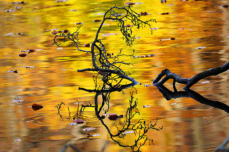 zur &Uuml;bersicht Stille 5