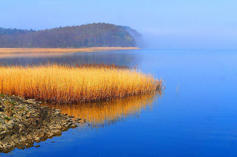 zur &Uuml;bersicht Stille 5