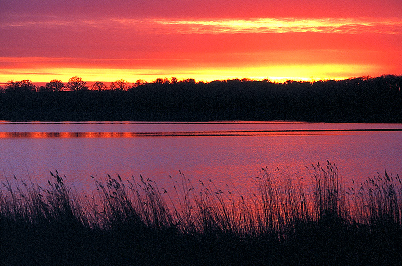 zur &Uuml;bersicht Stille 6