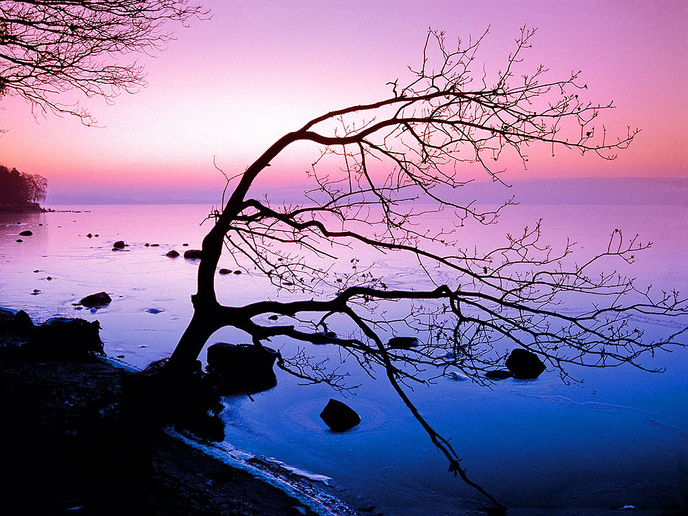 zur &Uuml;bersicht Stille 7