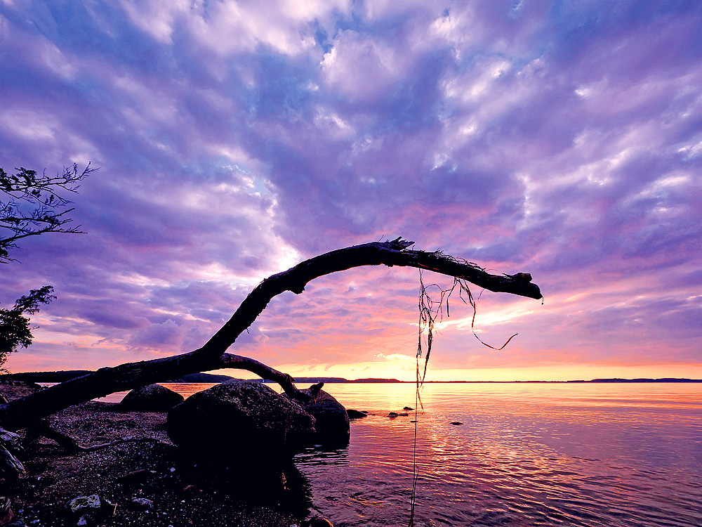 zur &Uuml;bersicht Stille 7