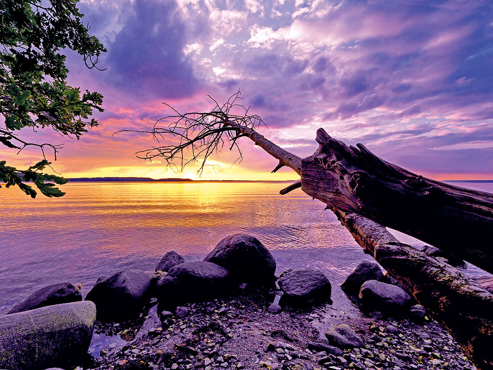 zur &Uuml;bersicht Stille 7