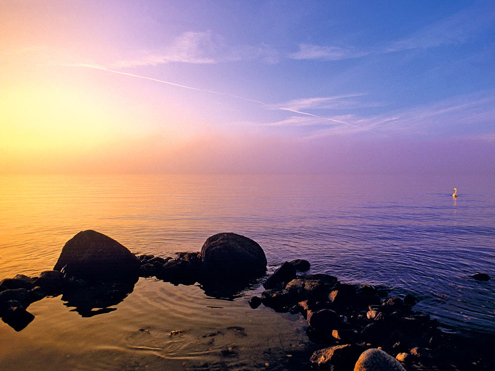 zur &Uuml;bersicht Stille 7