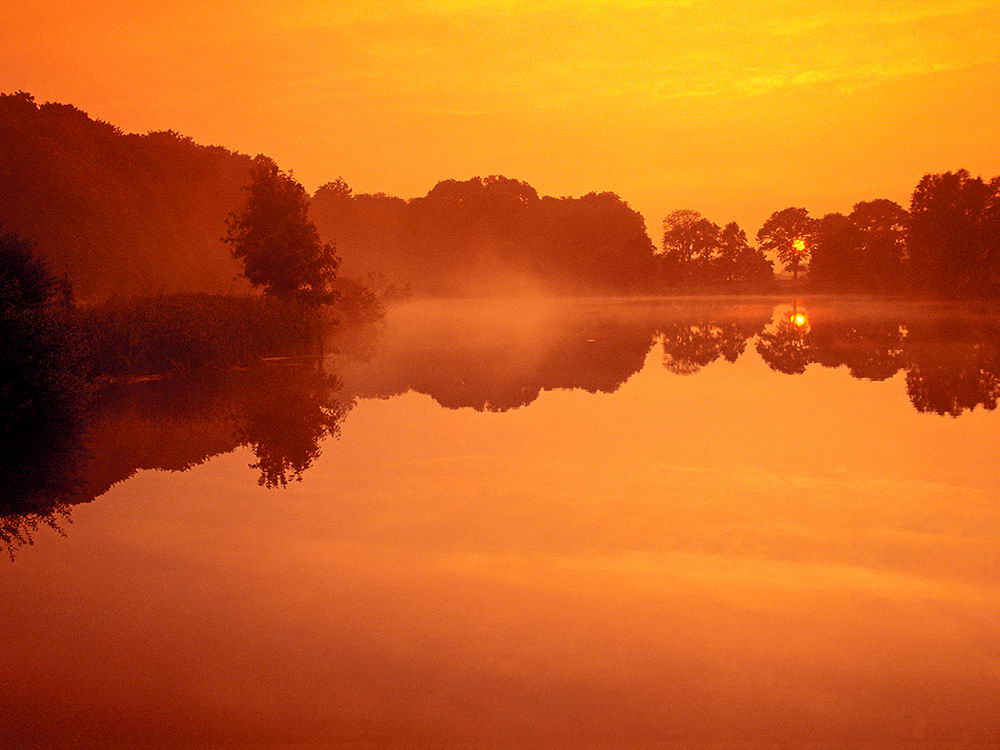 zur &Uuml;bersicht Stille 8