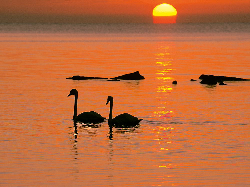 zur &Uuml;bersicht Stille 8