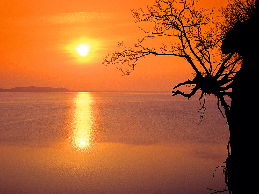 zur &Uuml;bersicht Stille 8