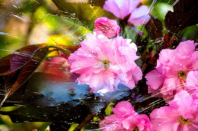 zur &Uuml;bersicht Strukturen 5