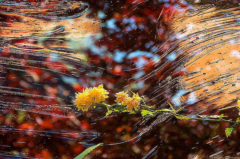 zur &Uuml;bersicht Strukturen 5