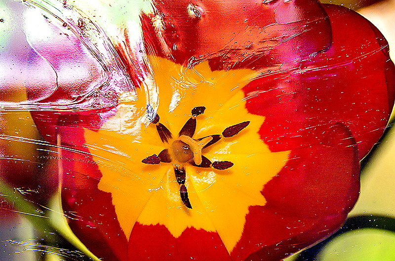 zur &Uuml;bersicht Strukturen 5