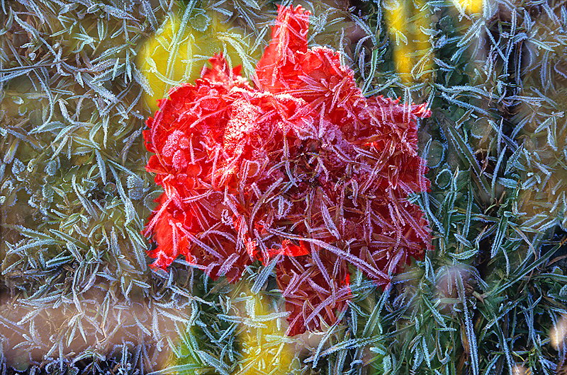 zur &Uuml;bersicht Strukturen 5