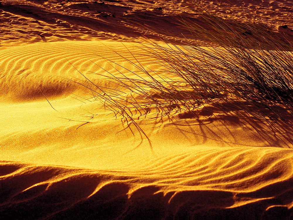 zur &Uuml;bersicht Strukturen 6