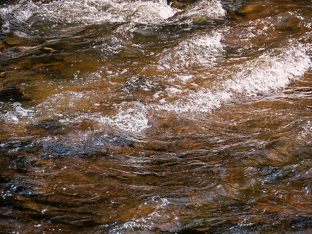 zur &Uuml;bersicht Strukturen 6