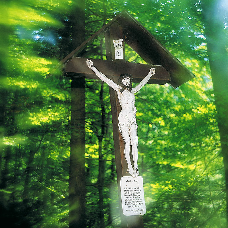 zur &Uuml;bersicht Trauer 3