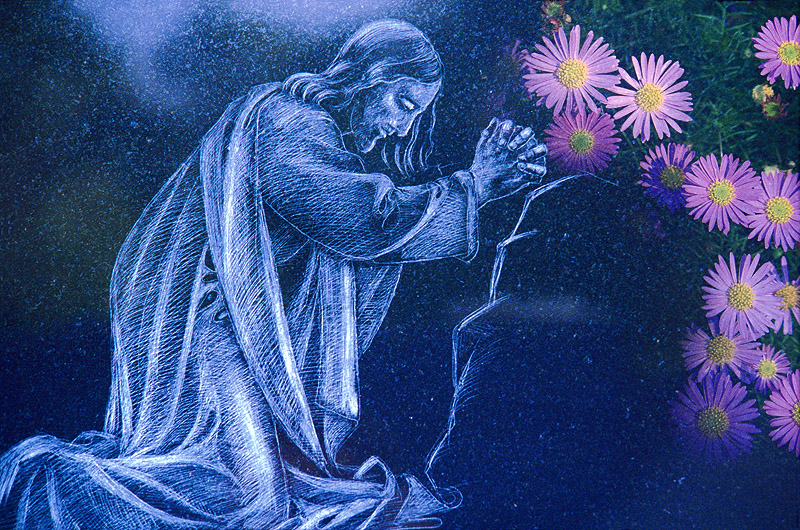 zur &Uuml;bersicht Trauer 4