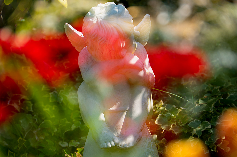 zur &Uuml;bersicht Trauer 4