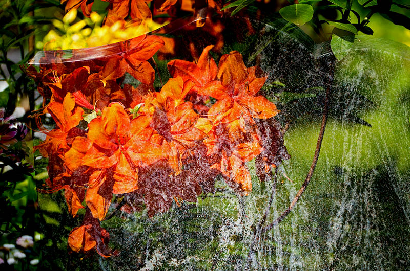 zur &Uuml;bersicht Trauer 4