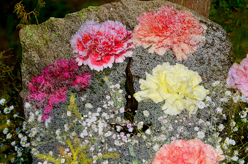 zur &Uuml;bersicht Trauer 4