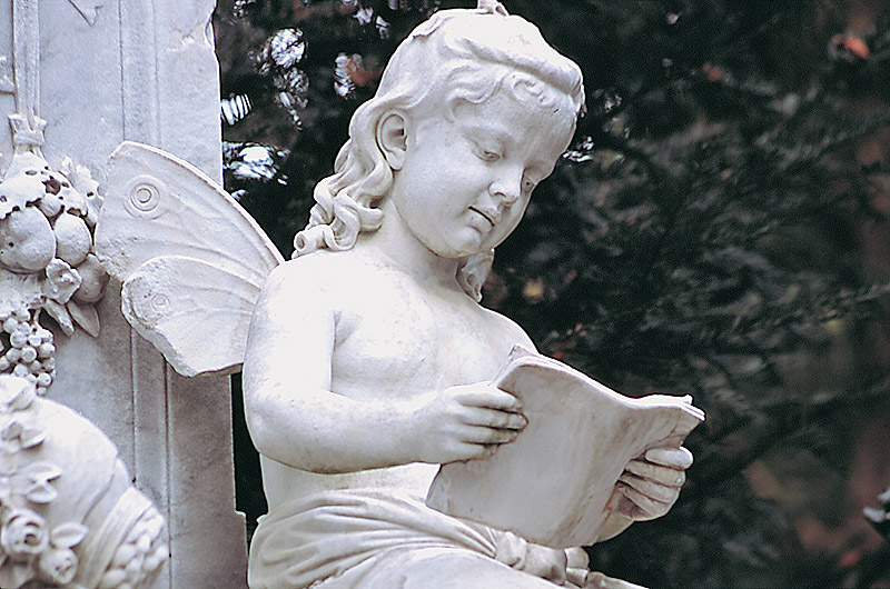 zur &Uuml;bersicht Trauer 5