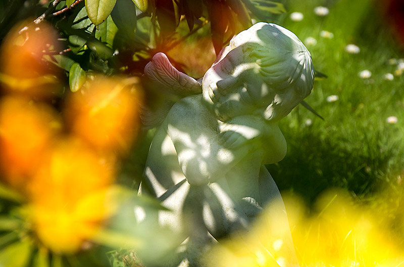 zur &Uuml;bersicht Trauer 5