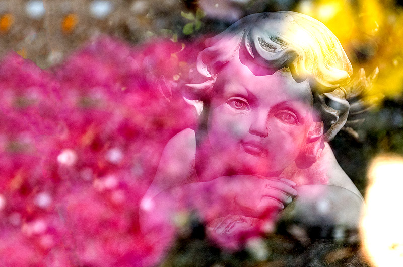 zur &Uuml;bersicht Trauer 5