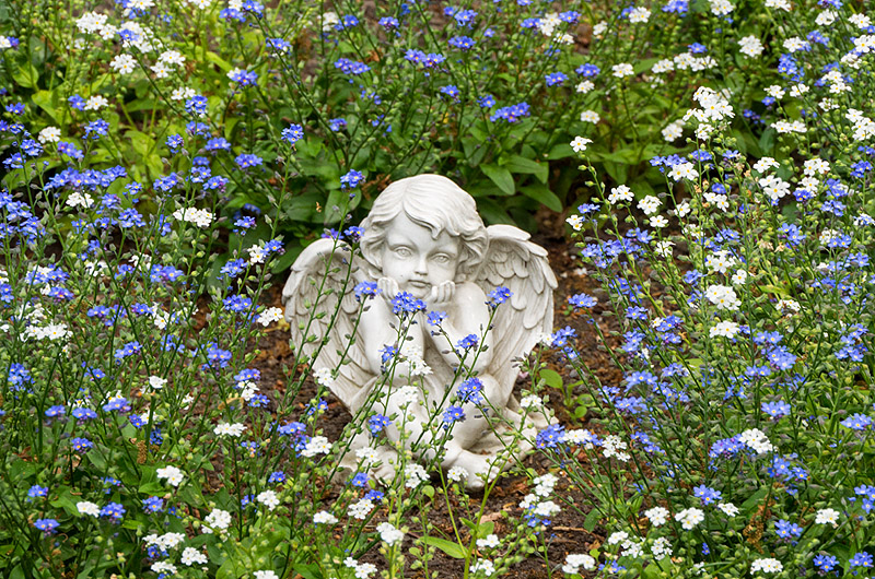 zur &Uuml;bersicht Trauer 5