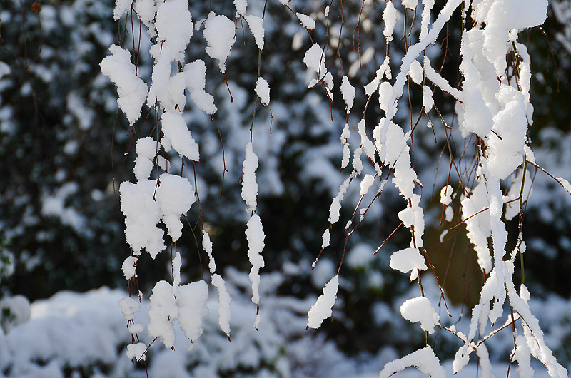 zur &Uuml;bersicht Trauer 5