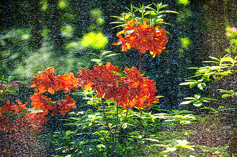 zur &Uuml;bersicht Trauer 6