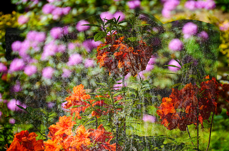 zur &Uuml;bersicht Trauer 6