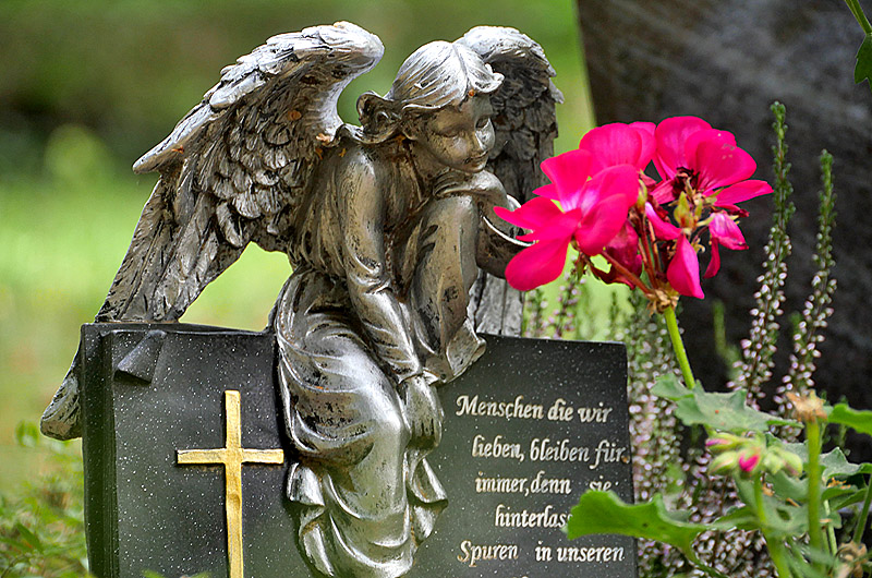 zur &Uuml;bersicht Trauer 6