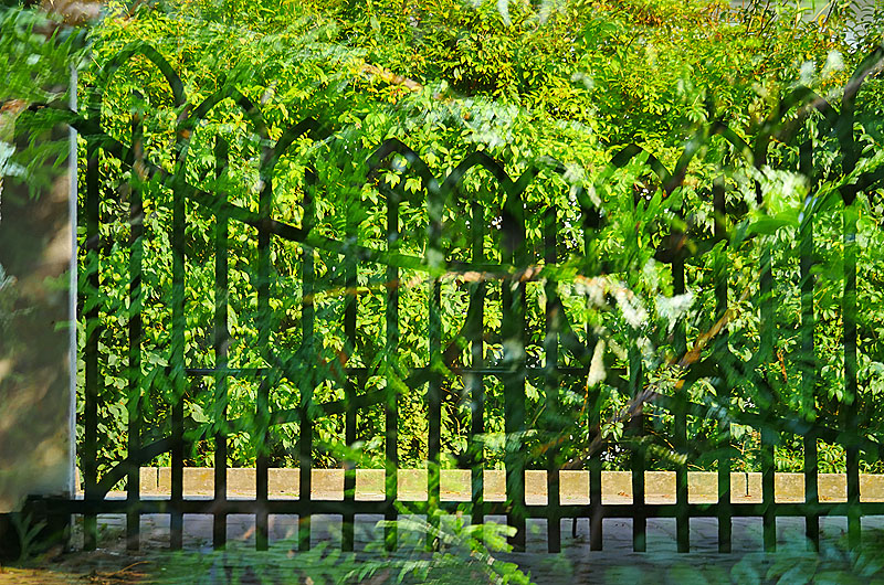 zur &Uuml;bersicht Trauer 6