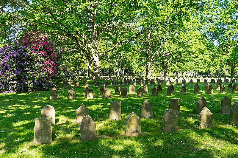 zur &Uuml;bersicht Trauer 6