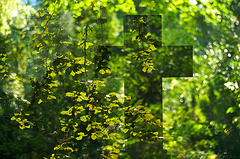 zur &Uuml;bersicht Trauer 7