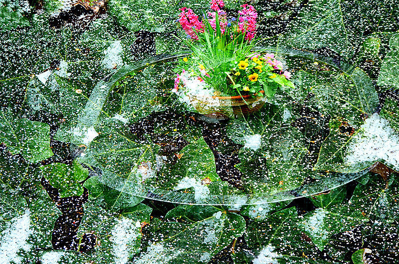 zur &Uuml;bersicht Trauer 7