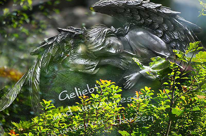 zur &Uuml;bersicht Trauer 7