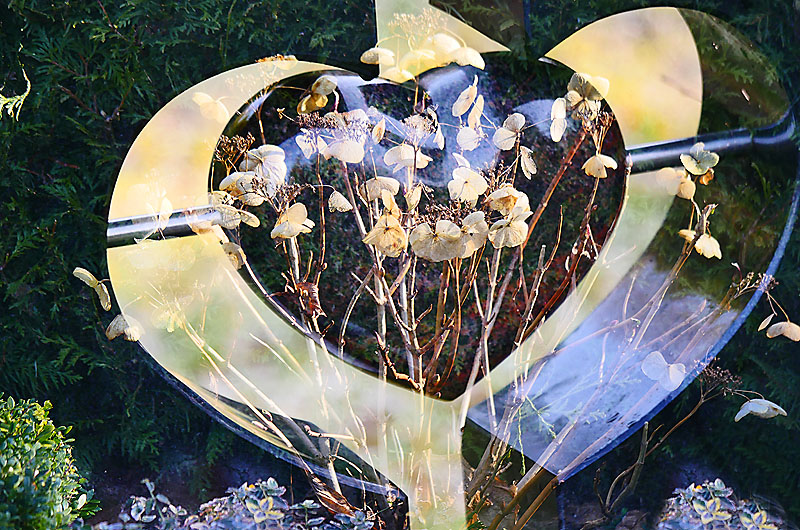 zur &Uuml;bersicht Trauer 7