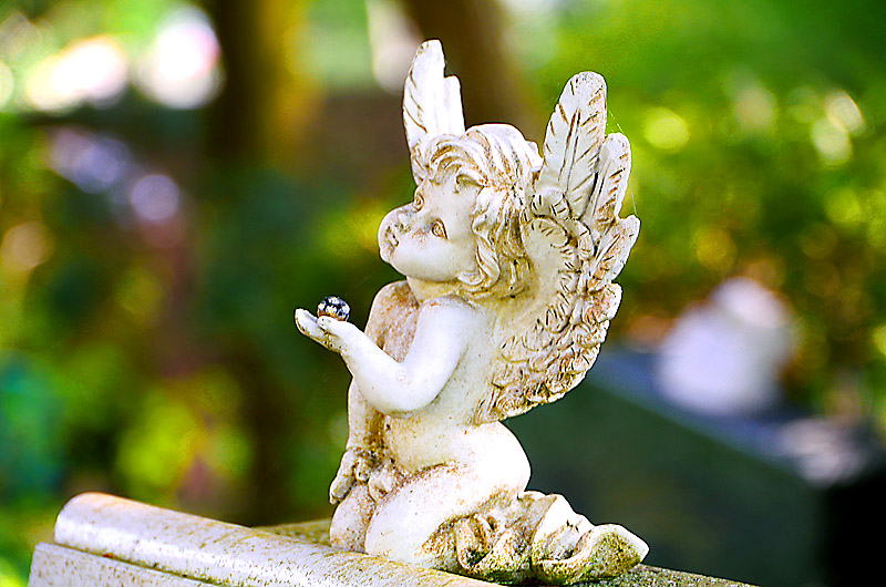 zur &Uuml;bersicht Trauer 7