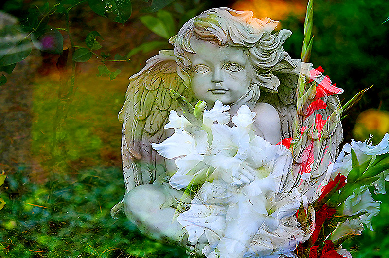 zur &Uuml;bersicht Trauer 7