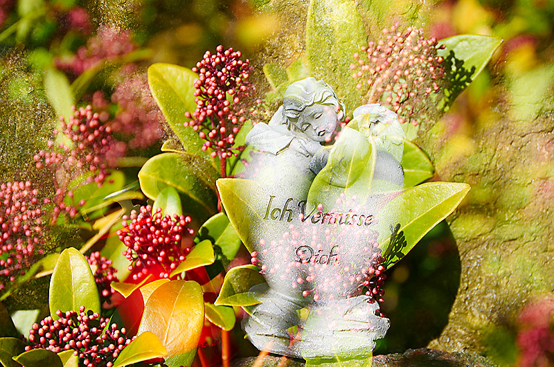 zur &Uuml;bersicht Trauer 7