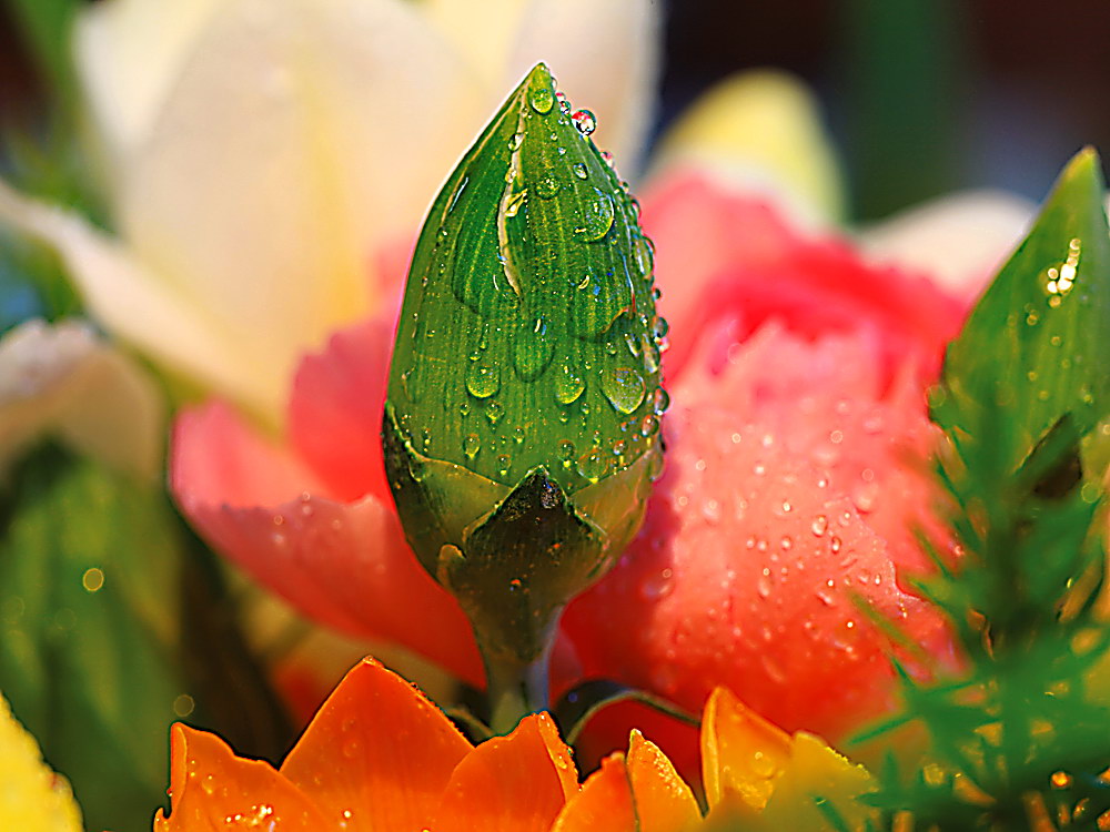 zur &Uuml;bersicht Wassertropfen 3