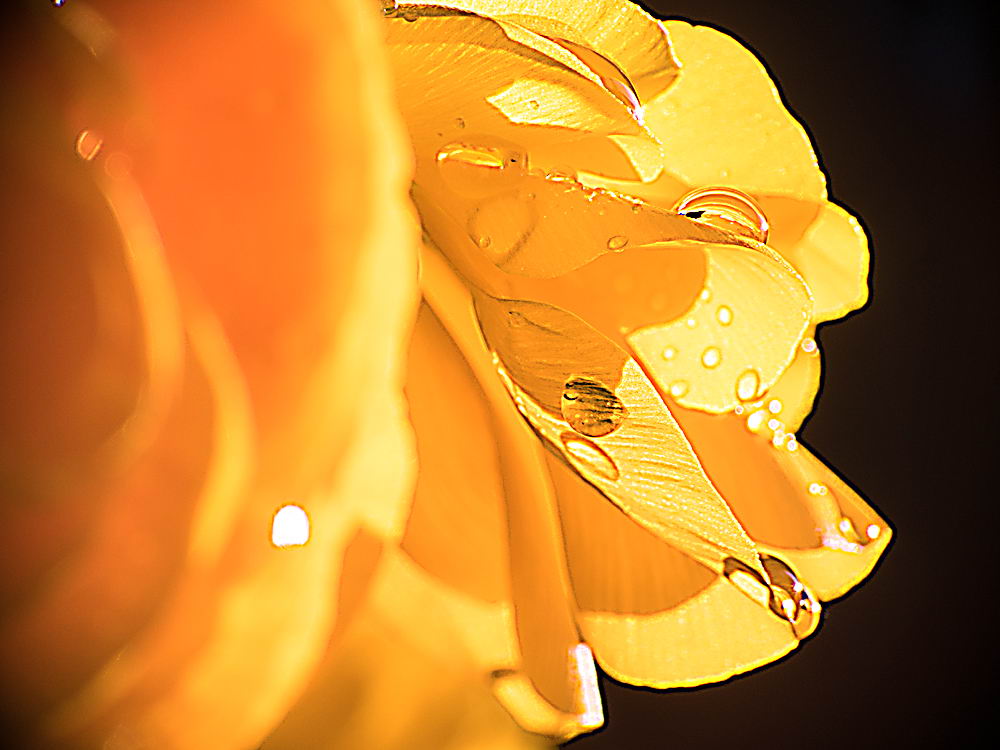 zur &Uuml;bersicht Wassertropfen 3