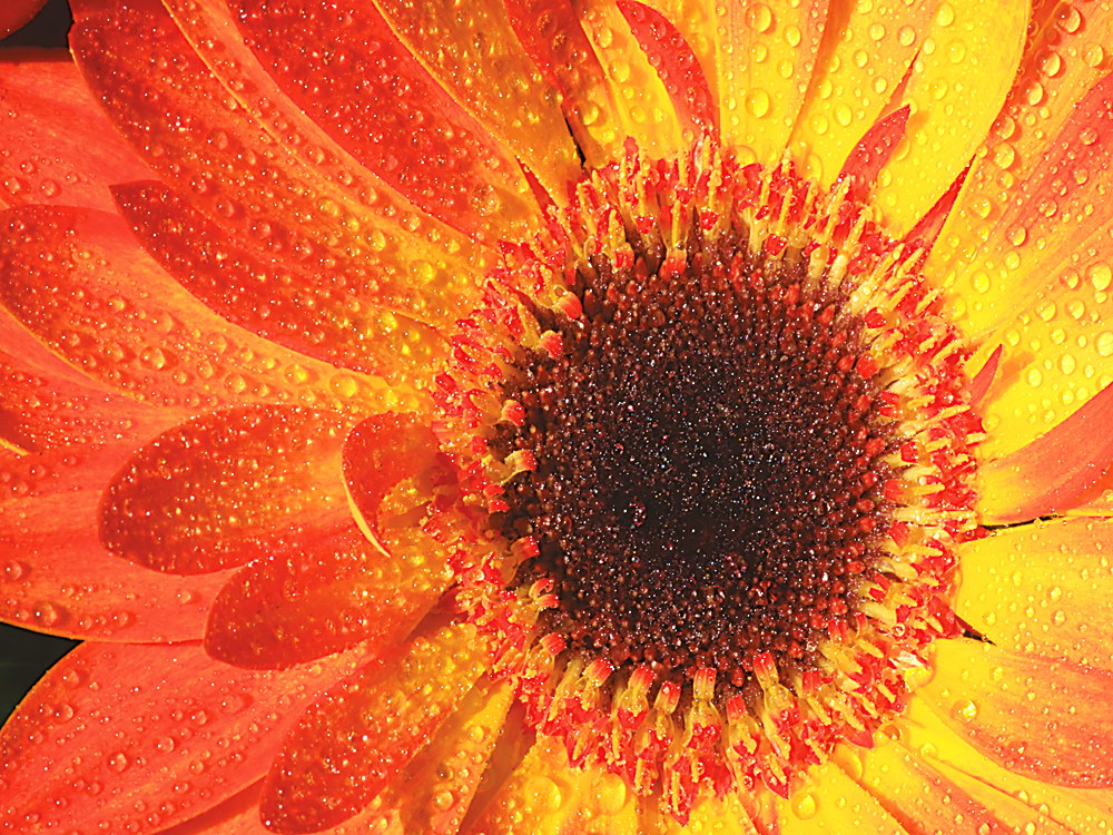 zur &Uuml;bersicht Wassertropfen 3