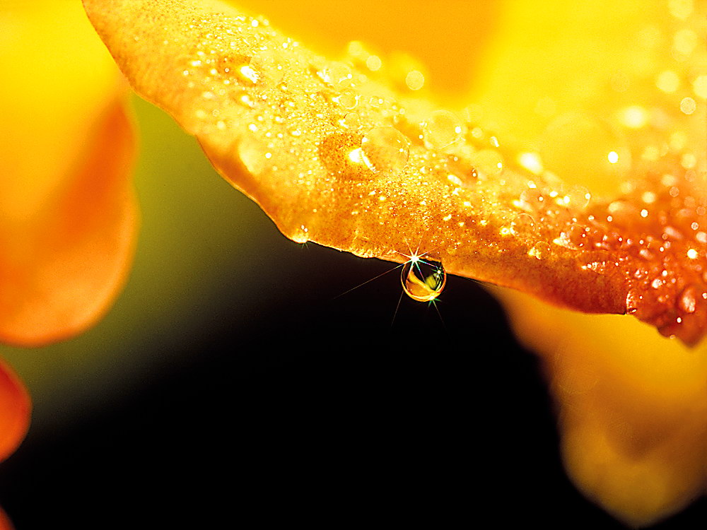 zur &Uuml;bersicht Wassertropfen 3