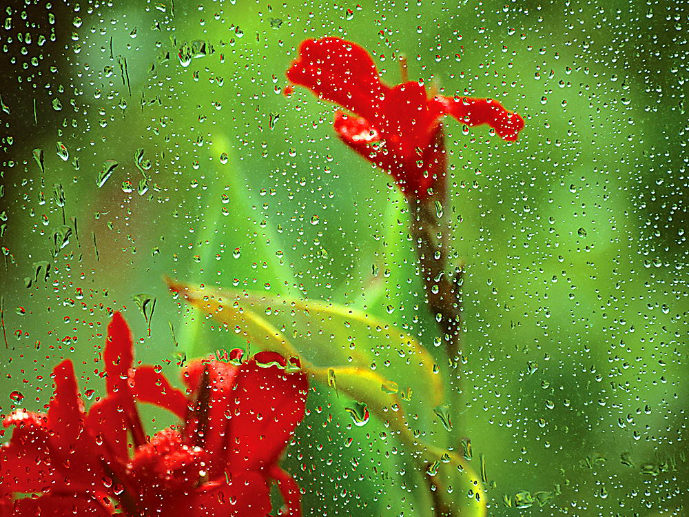 zur &Uuml;bersicht Wassertropfen 3