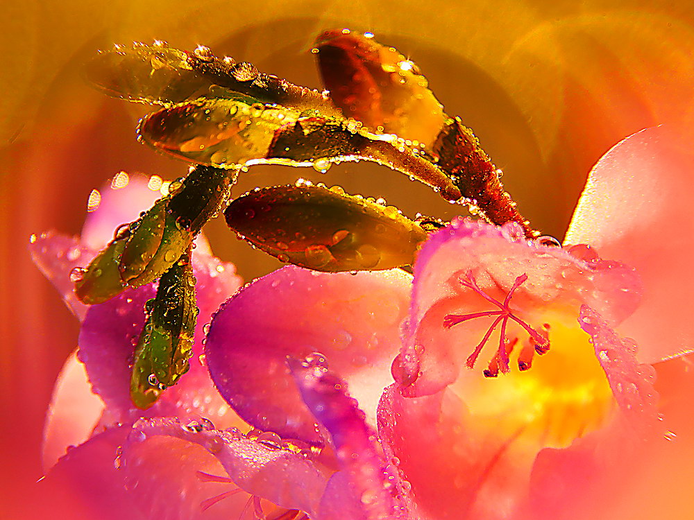 zur &Uuml;bersicht Wassertropfen 3