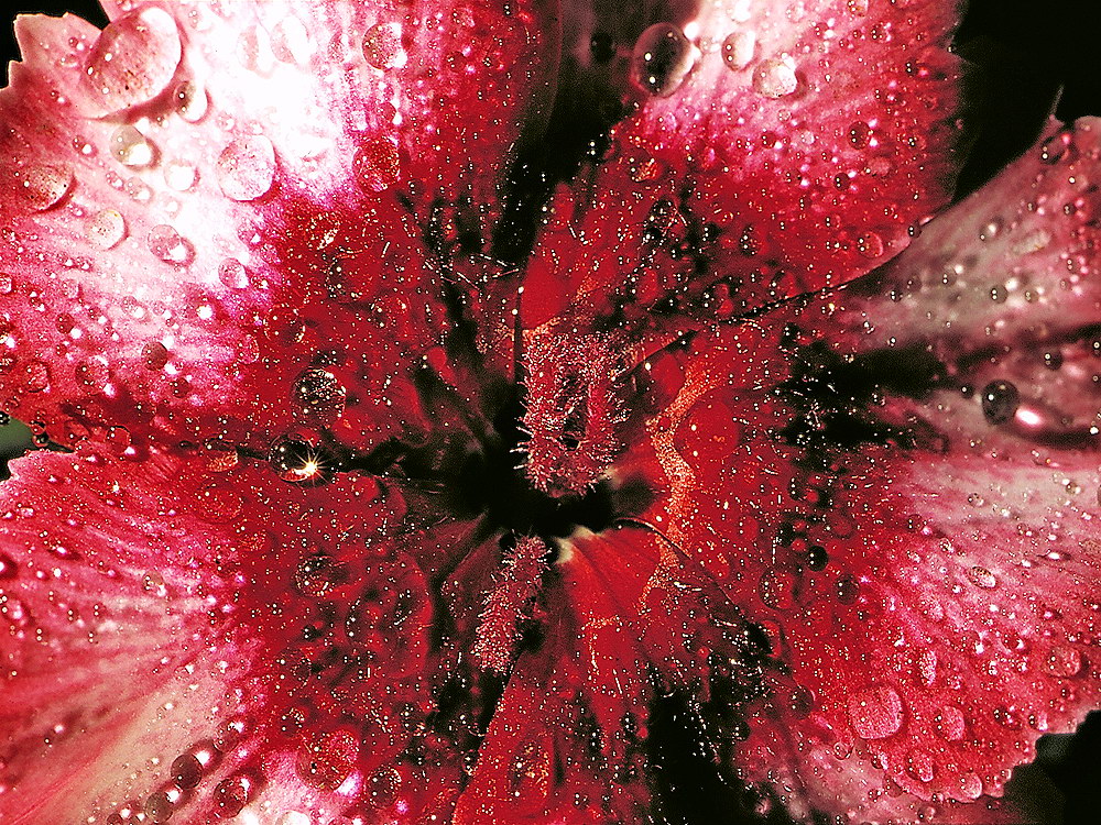 zur &Uuml;bersicht Wassertropfen 4