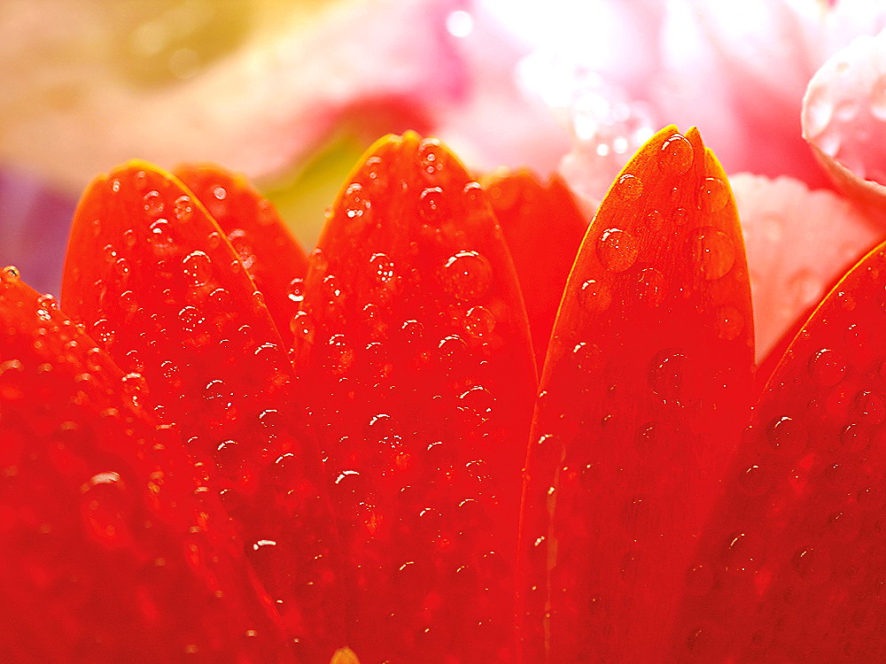 zur &Uuml;bersicht Wassertropfen 5