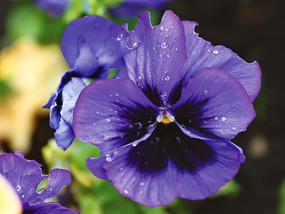 zur &Uuml;bersicht Wassertropfen 5