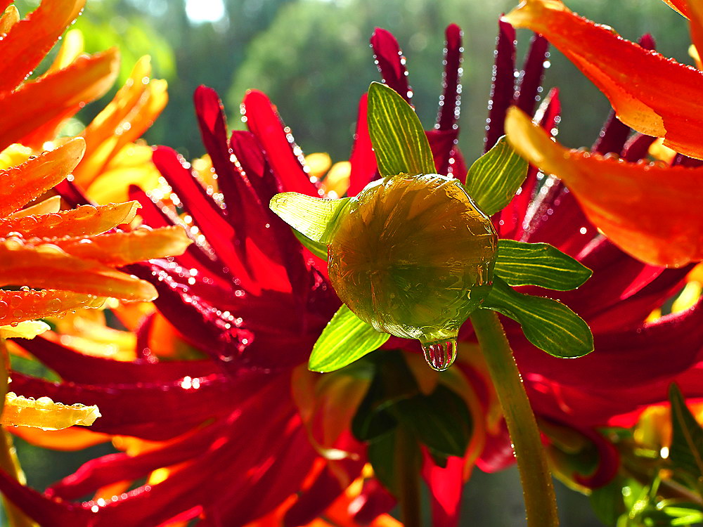 zur &Uuml;bersicht Wassertropfen 5